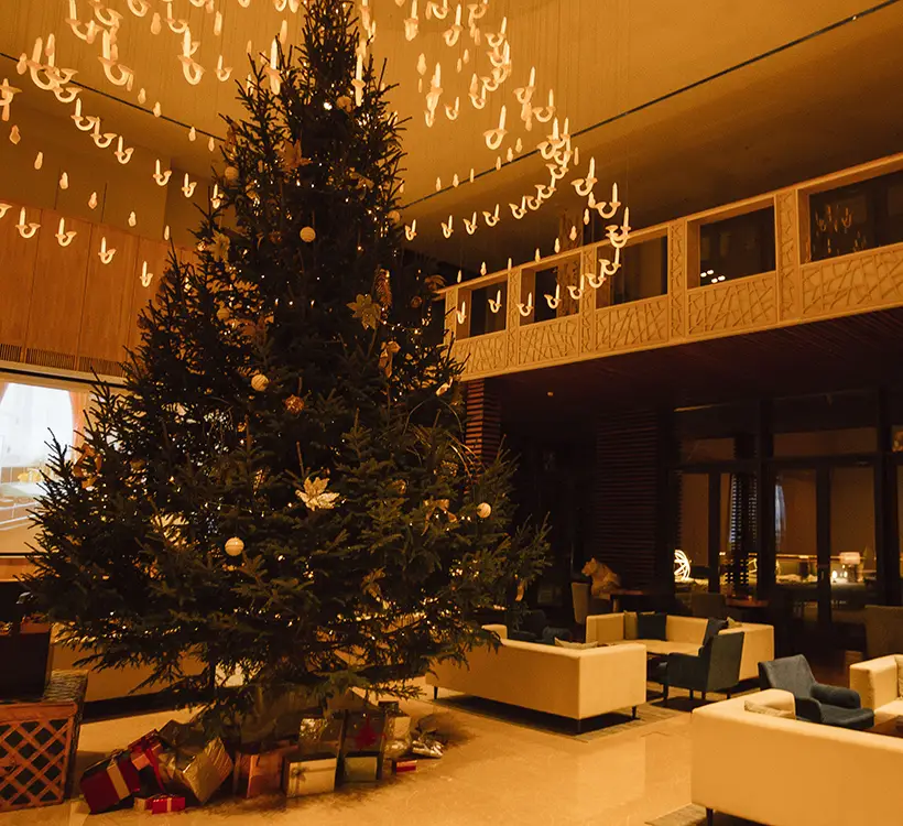 Осенние каникулы на Вилле Плёс